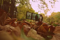 /album/galleria-fotografica/a600876-10201829192525792-388819777-n-jpg/