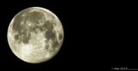 /album/galleria-fotografica/a1017111-10200897094703929-1775602143-n-jpg/