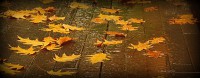 /album/galleria-fotografica/a1450137-10201961570995171-779197170-n-jpg/