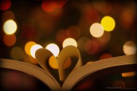 /album/galleria-fotografica/a1488737-10202099710248566-1502864331-n-jpg/