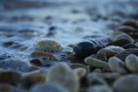 /album/galleria-fotografica/a1601250-10202540478107487-2041586165-n-jpg/
